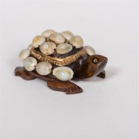 Schildkröte Muschel